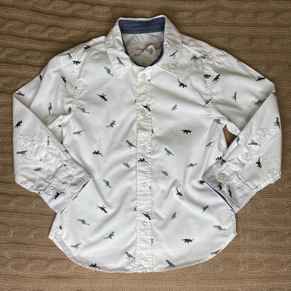 H&M Kids Dinosaur button down Shirt